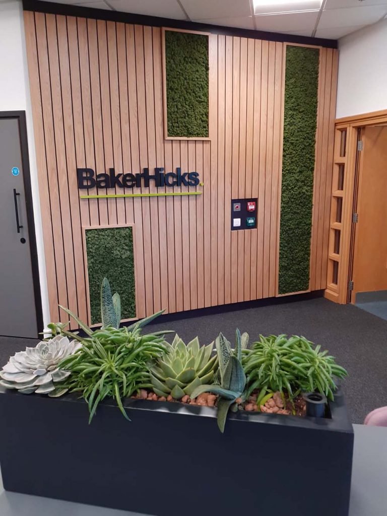 Baker Hicks office entrance feature panelled timber wall with Nordik Moss and trough in foreground filled with succulents