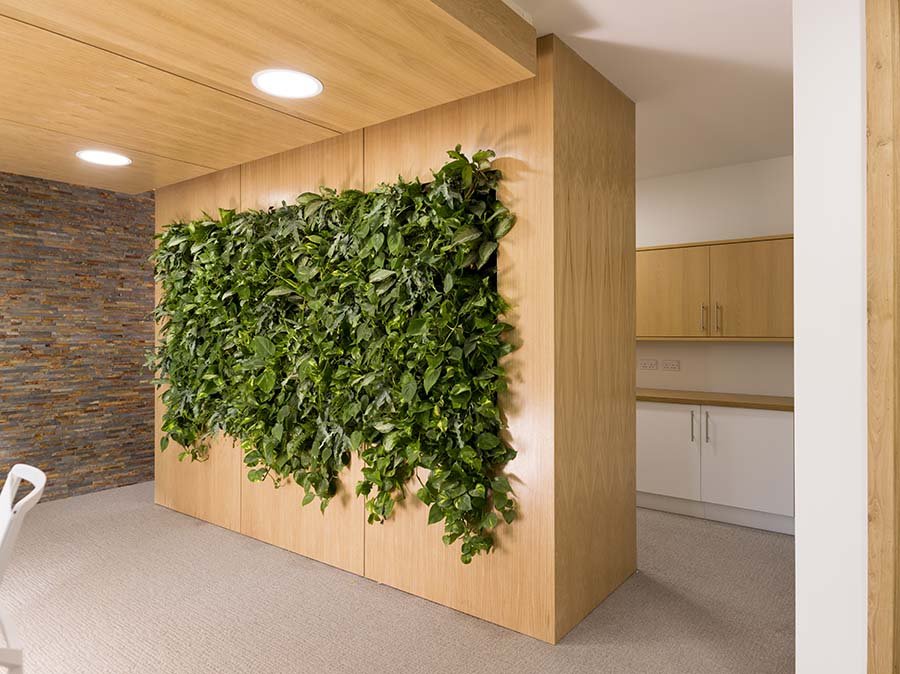 A living wall including a variety of live plants is set in a timber surround to create a stunning reception backdrop