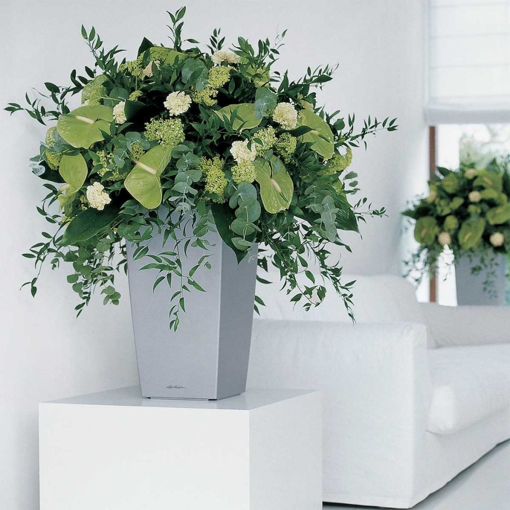 Live green tone plants and leafy foliage create an oversized floral display in a silver planter to welcome staff and guests
