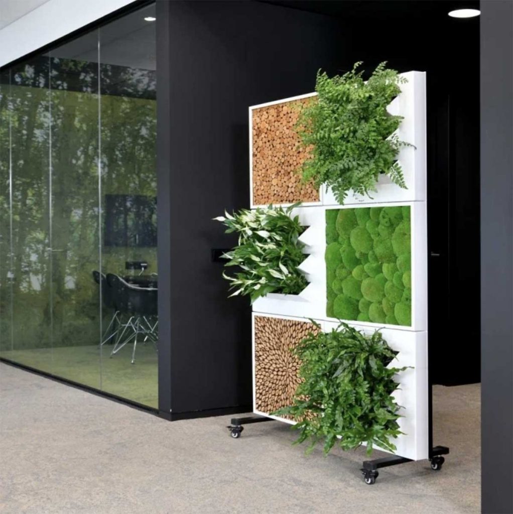 Green wall panels filled with plant species on castors to divide and separate open plan space in a modern office space